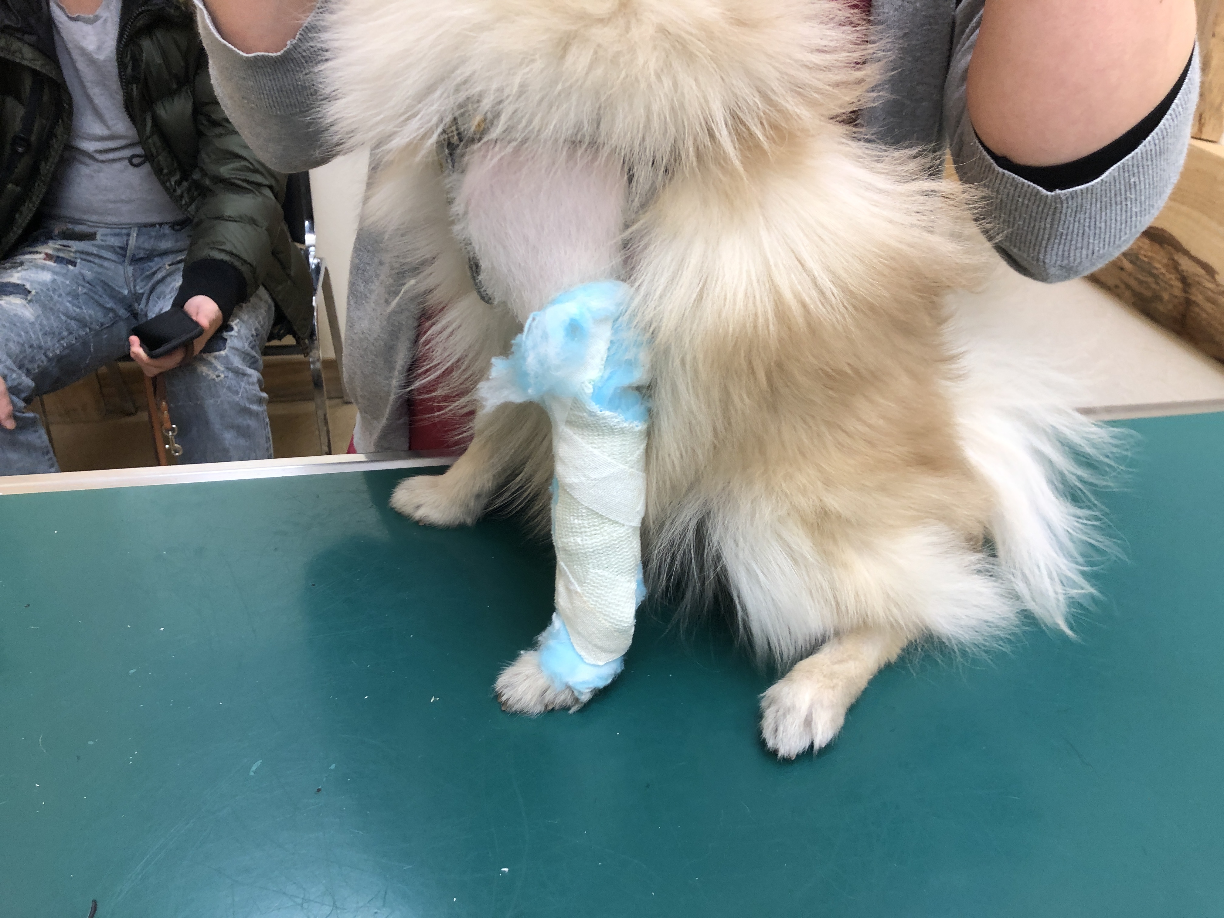 骨折の治療