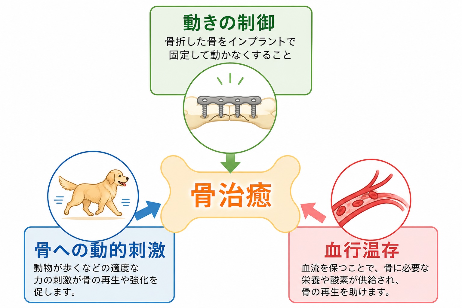 手術前に十分な計画を立てます