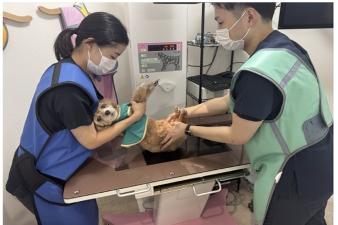 デジタルレントゲン