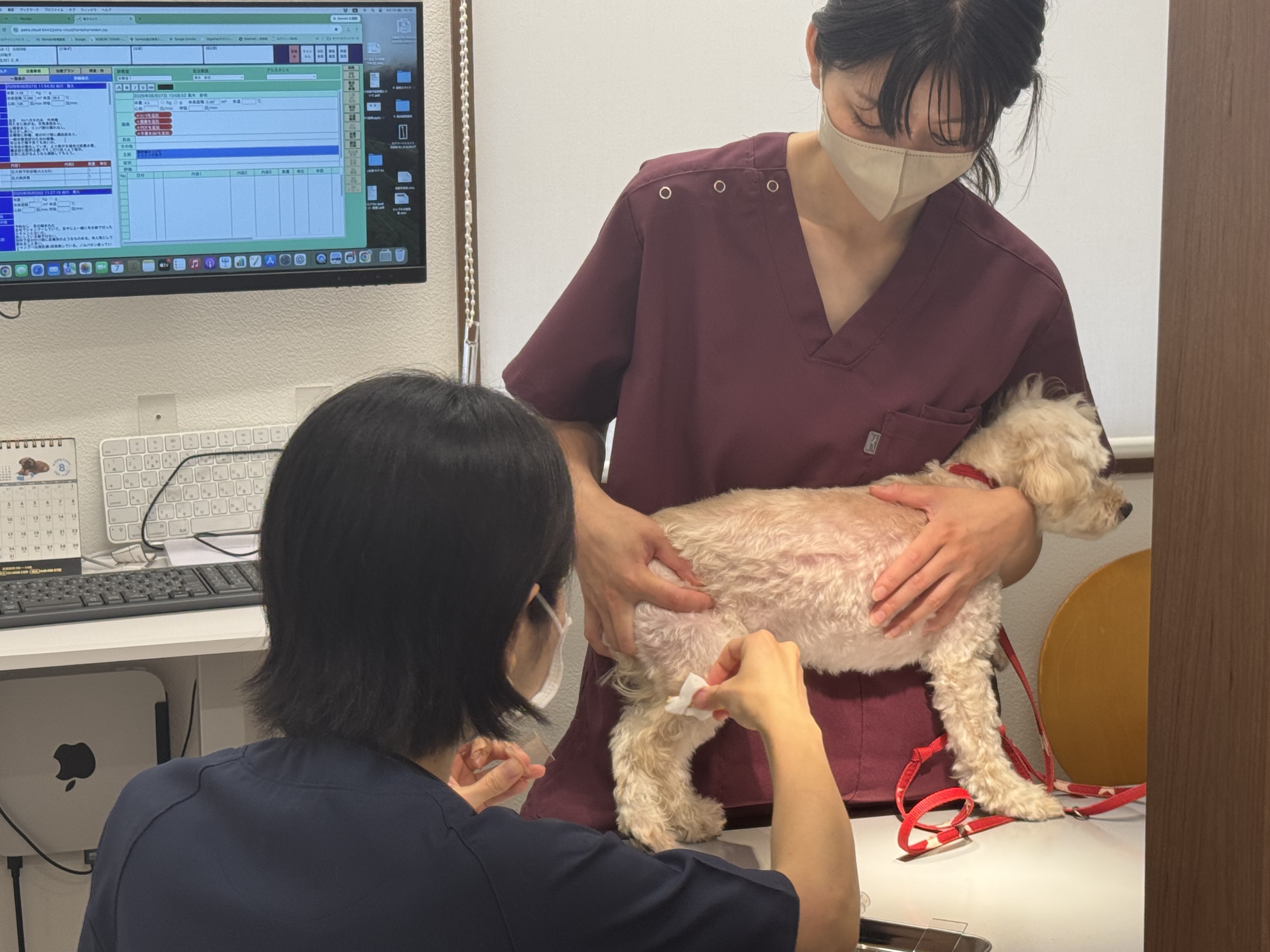 必要に応じて専門的な診療へ