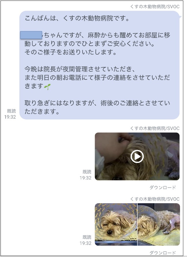 入院中の様子をお伝えします